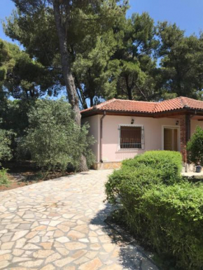 Tomas GuestHouse